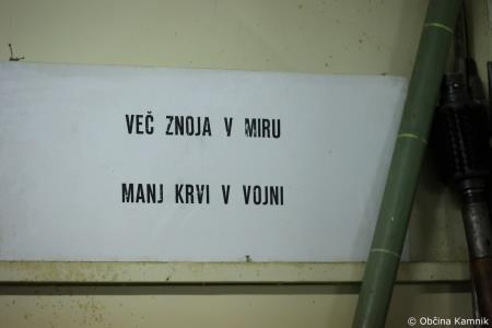 Odprtje razstave Od Maistra do osamosvojitve (29)